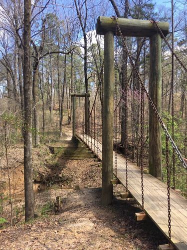 Memphis Moms Blog Jonesboro, AR Craighead Forest trail