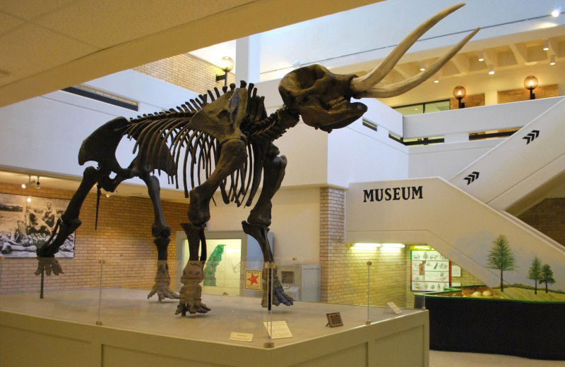 Memphis Moms Blog ASU Museum mastodon