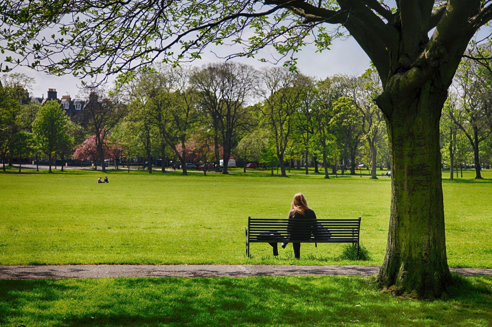 lonely or pensive-looking woman on a bench