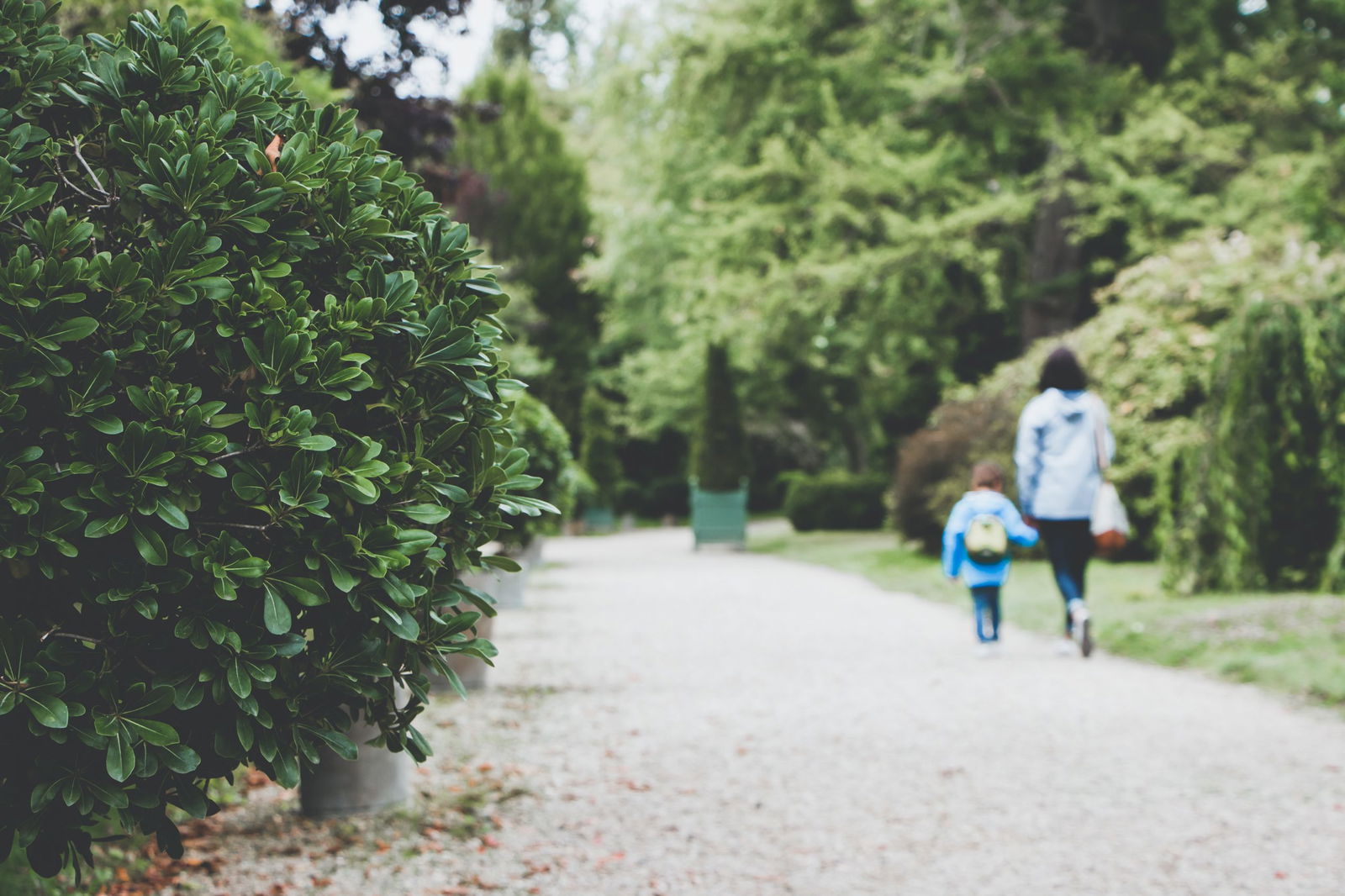 mom walk to school