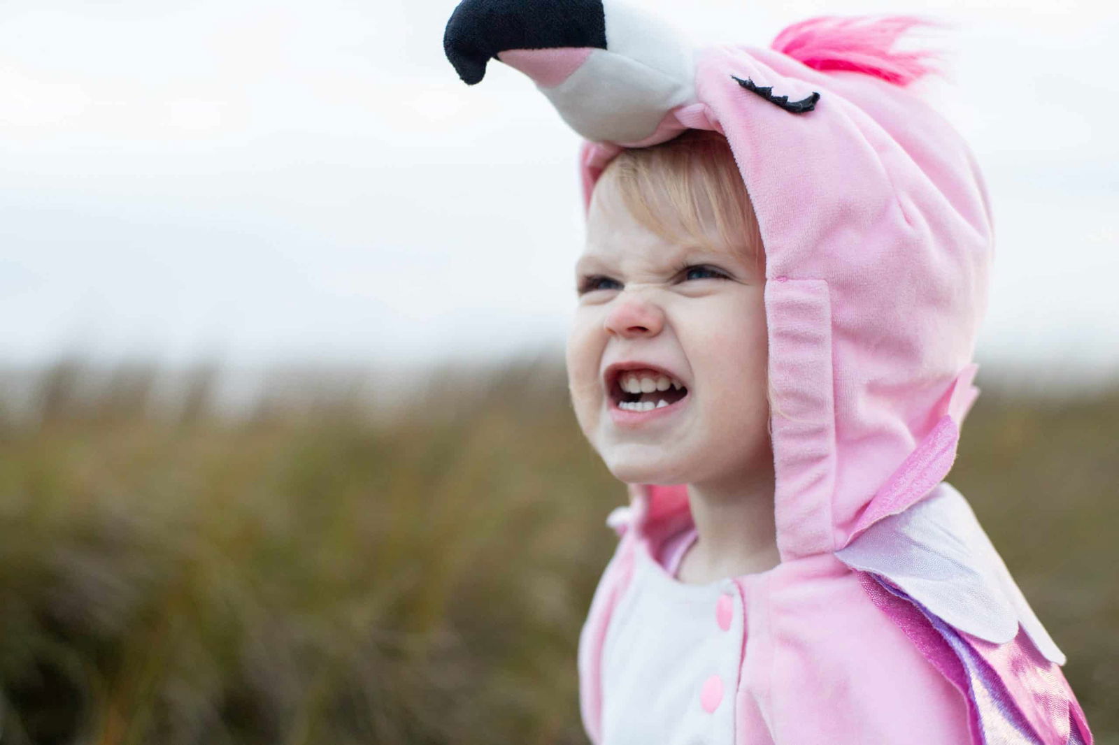 picture of a child in a flamingo costume