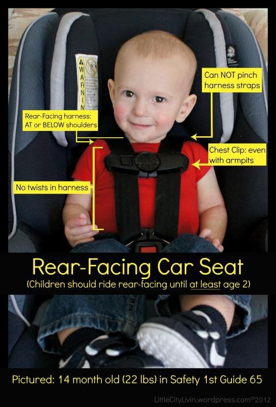 infographic describing proper carseat buckling