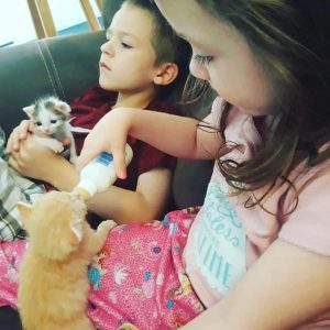 kids helping bottle feed foster kittens from Memphis Animal Services