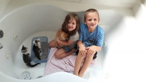 kids with bigger FOSTER cats