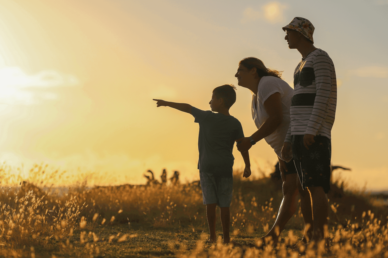 child with his foster parents