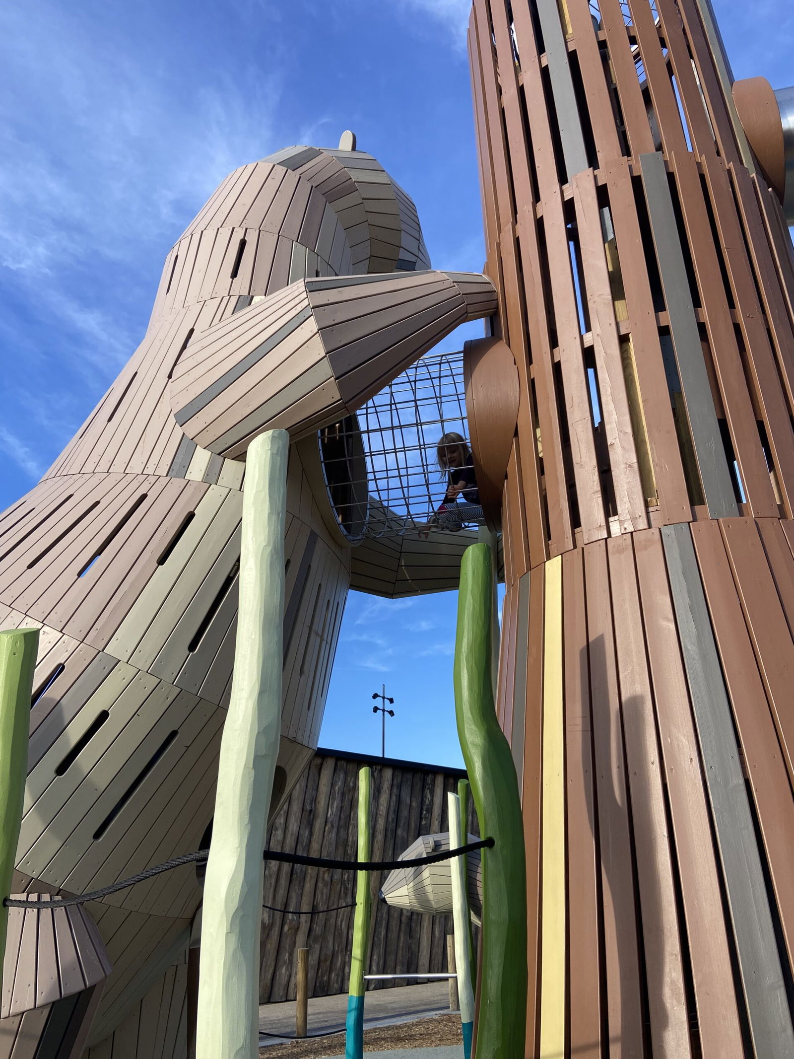 playground structure at Tom Lee Park