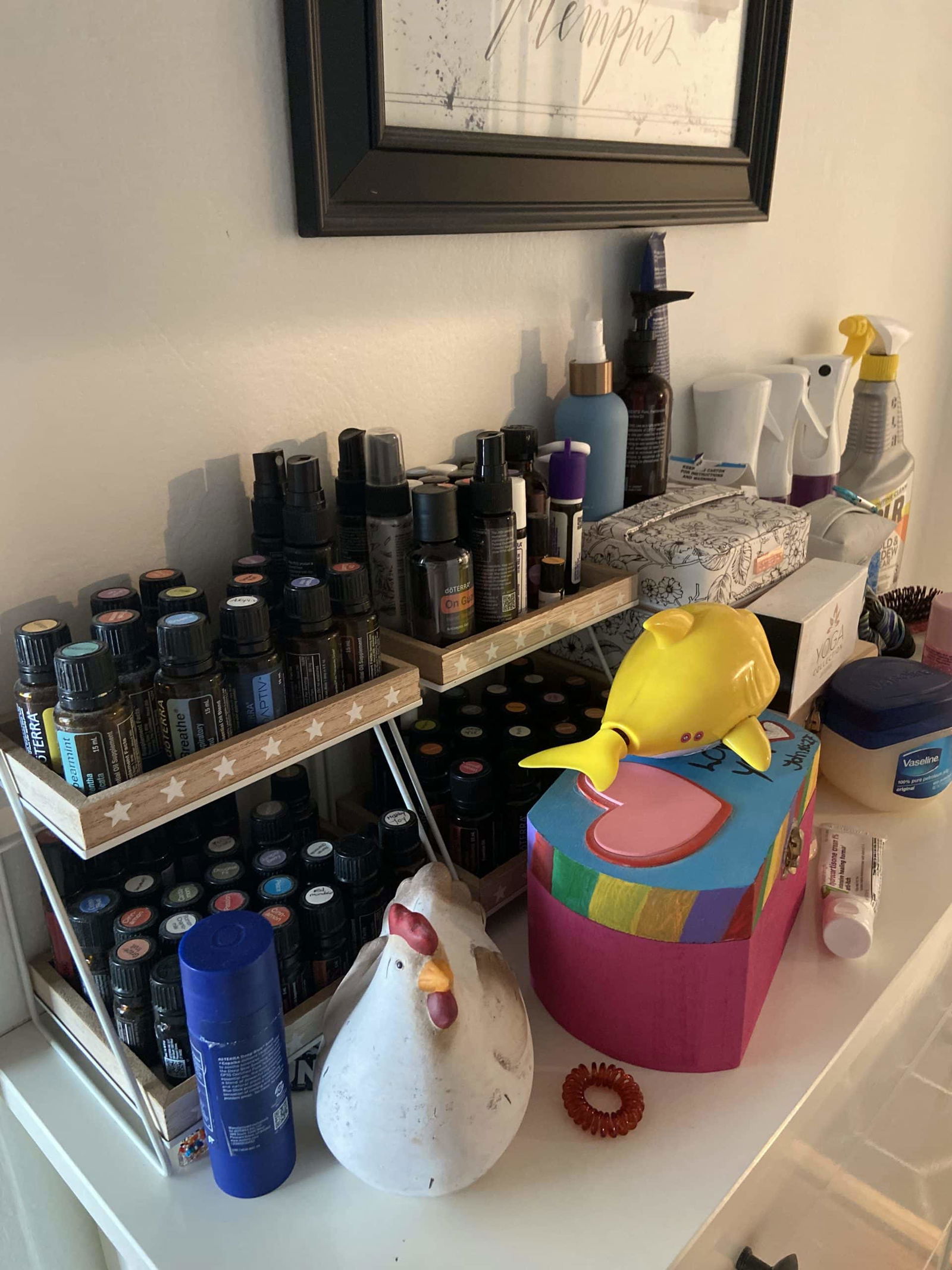 Essential oil organizers in my apartment