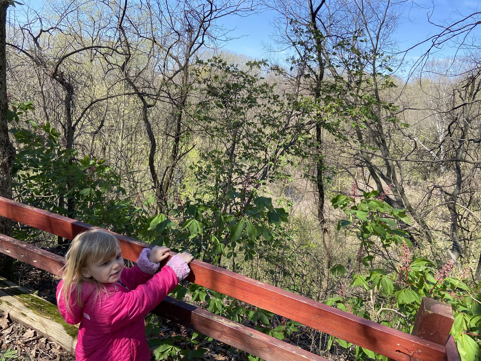 Nora in nature