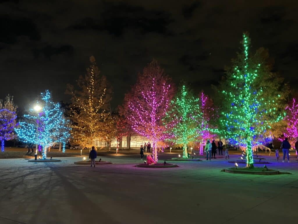 Christmas lights in trees