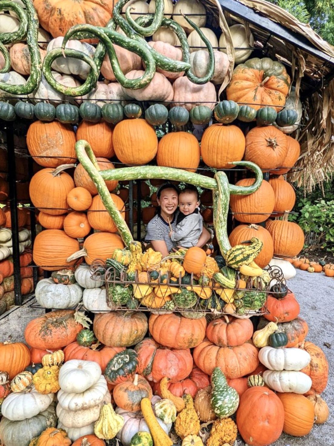 dixon pumpkin house in October