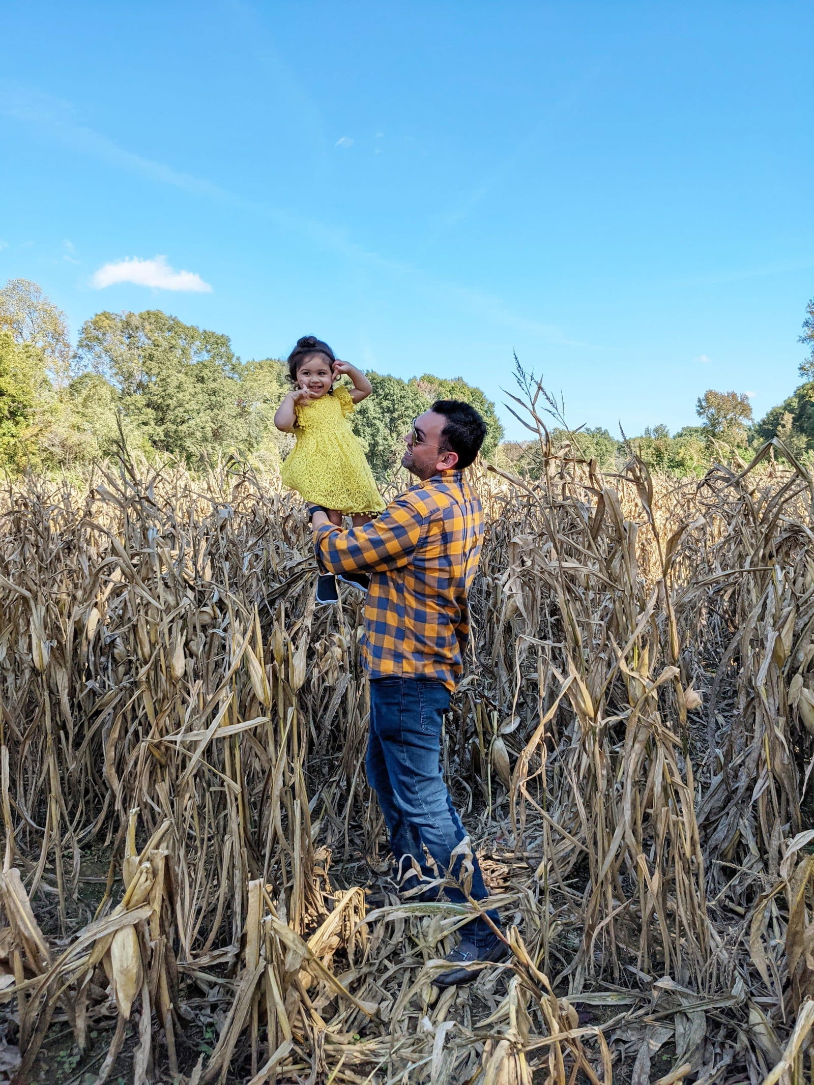 Fall Corn Maze