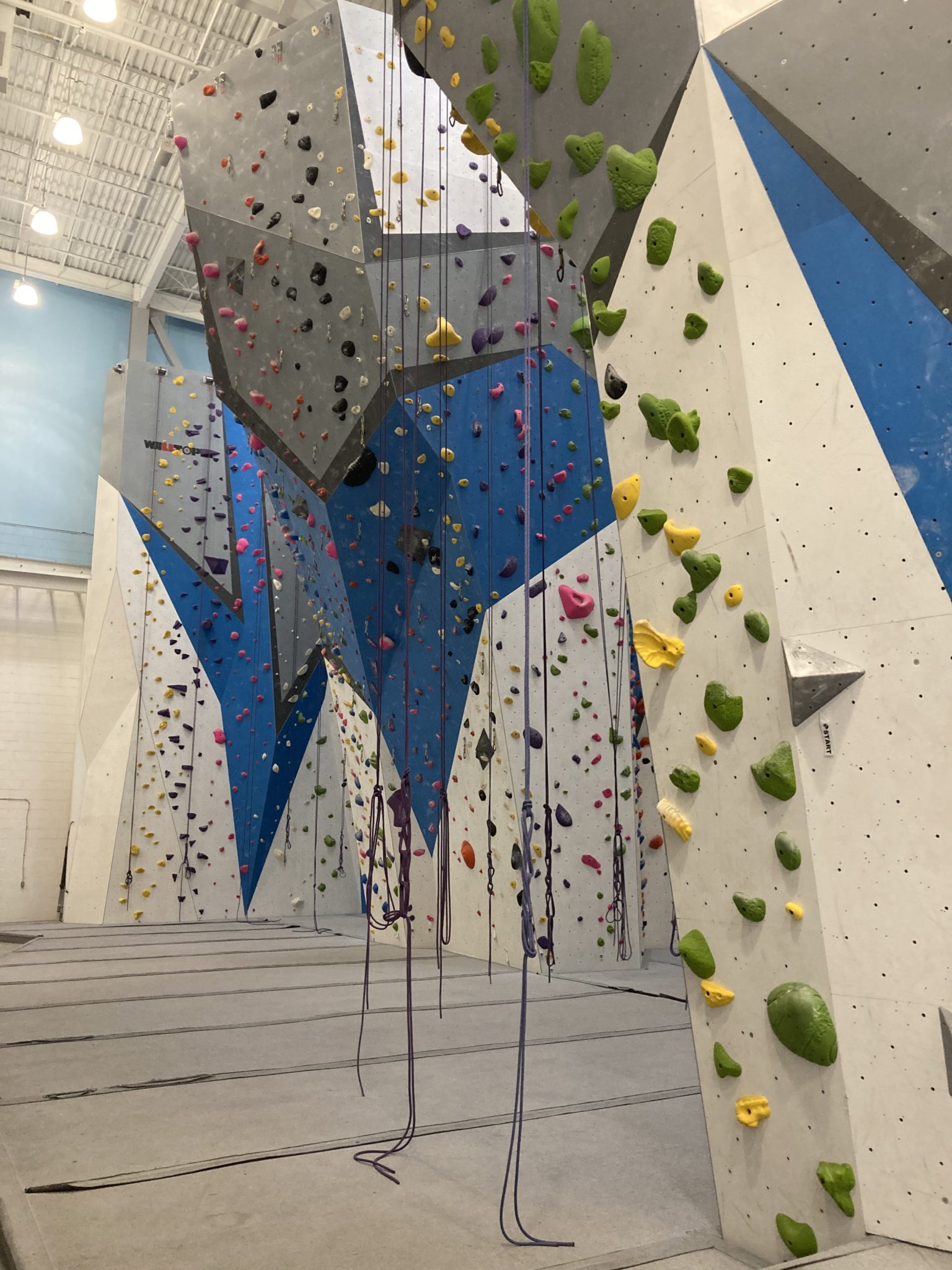 climbing walls and ropes at Memphis Rox