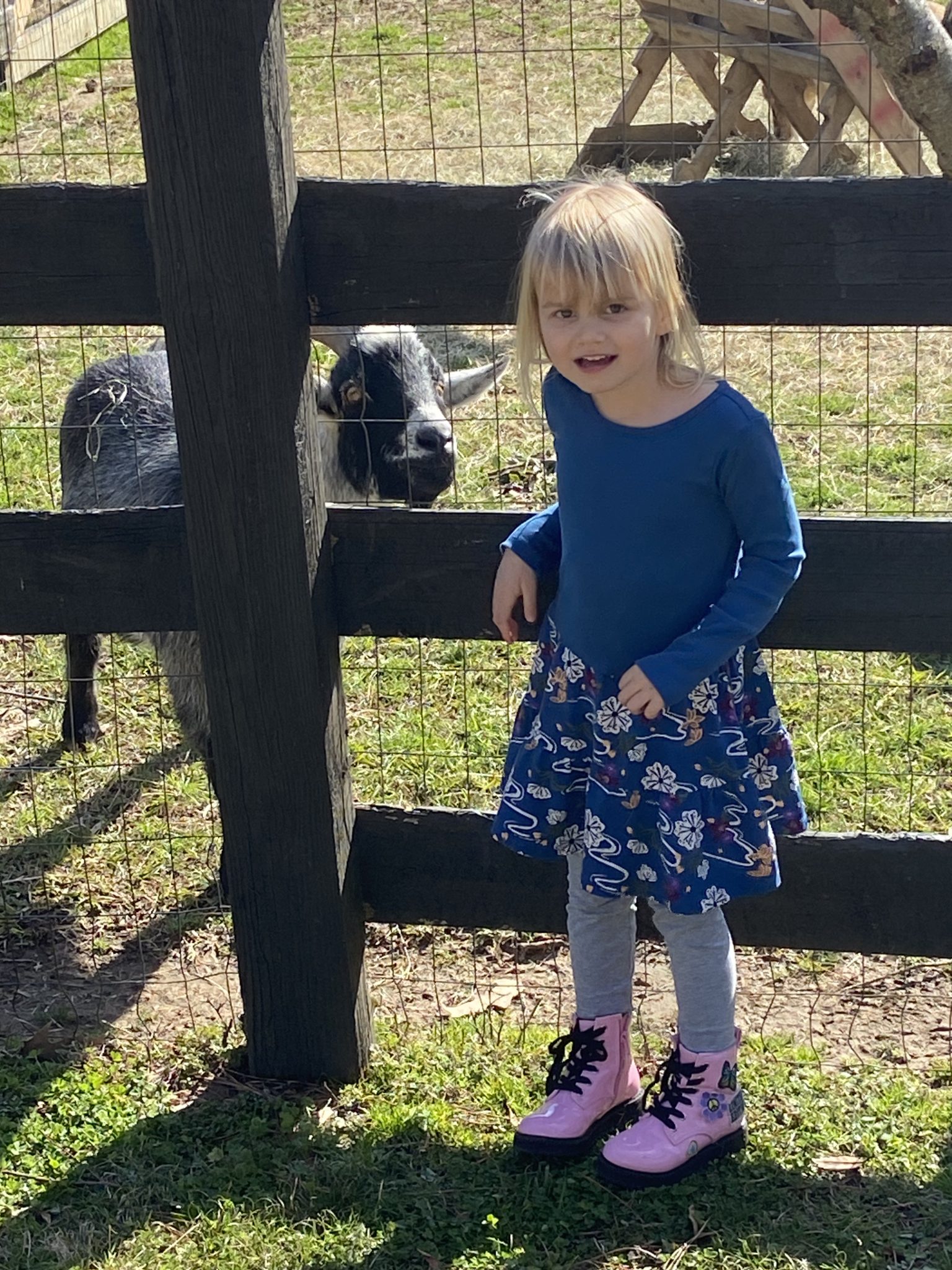 Girl with a goat in Bobby Lanier Farm Park