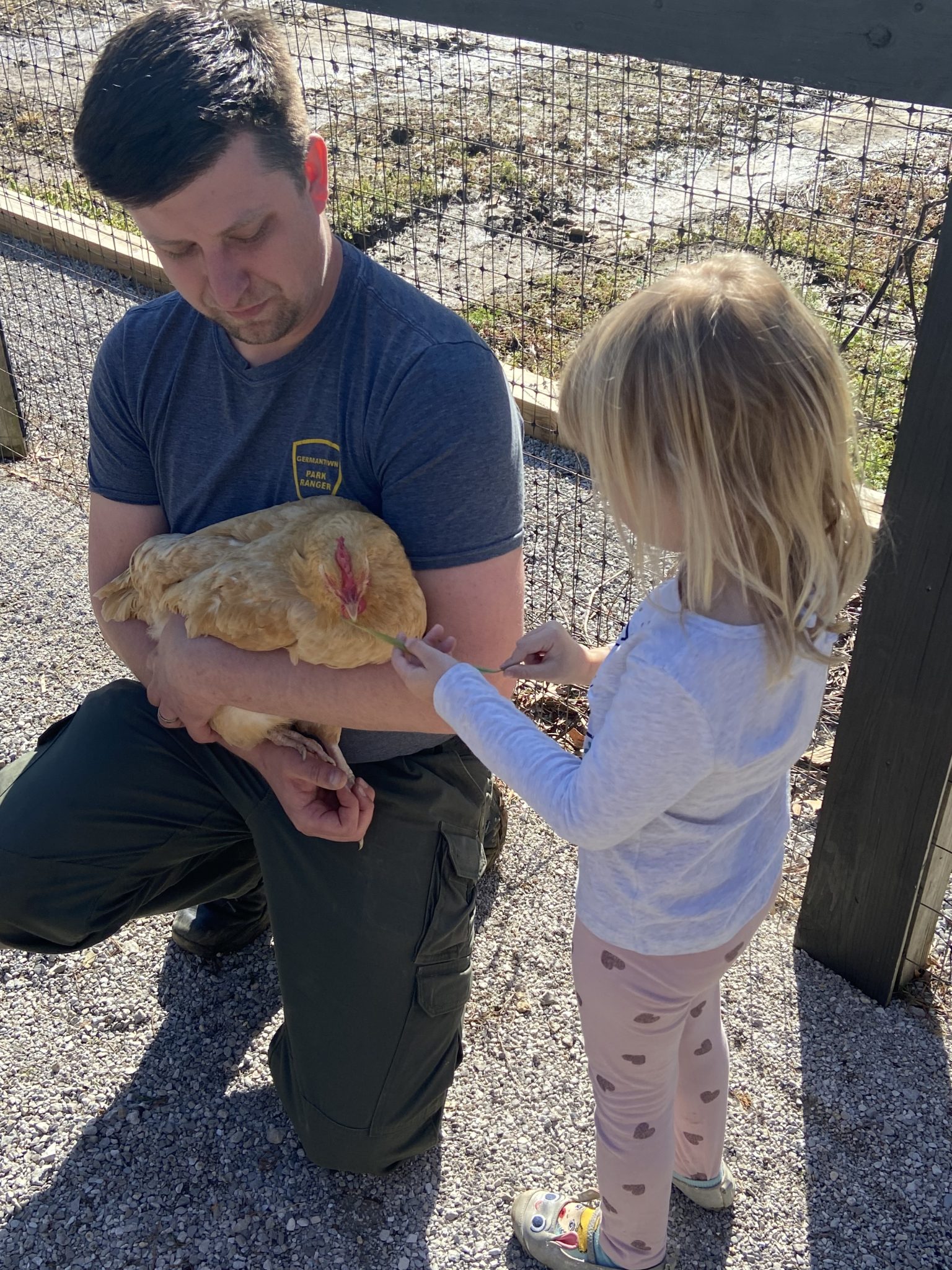 Park Ranger showing a child a chicken in Bobby Lanier Farm Park