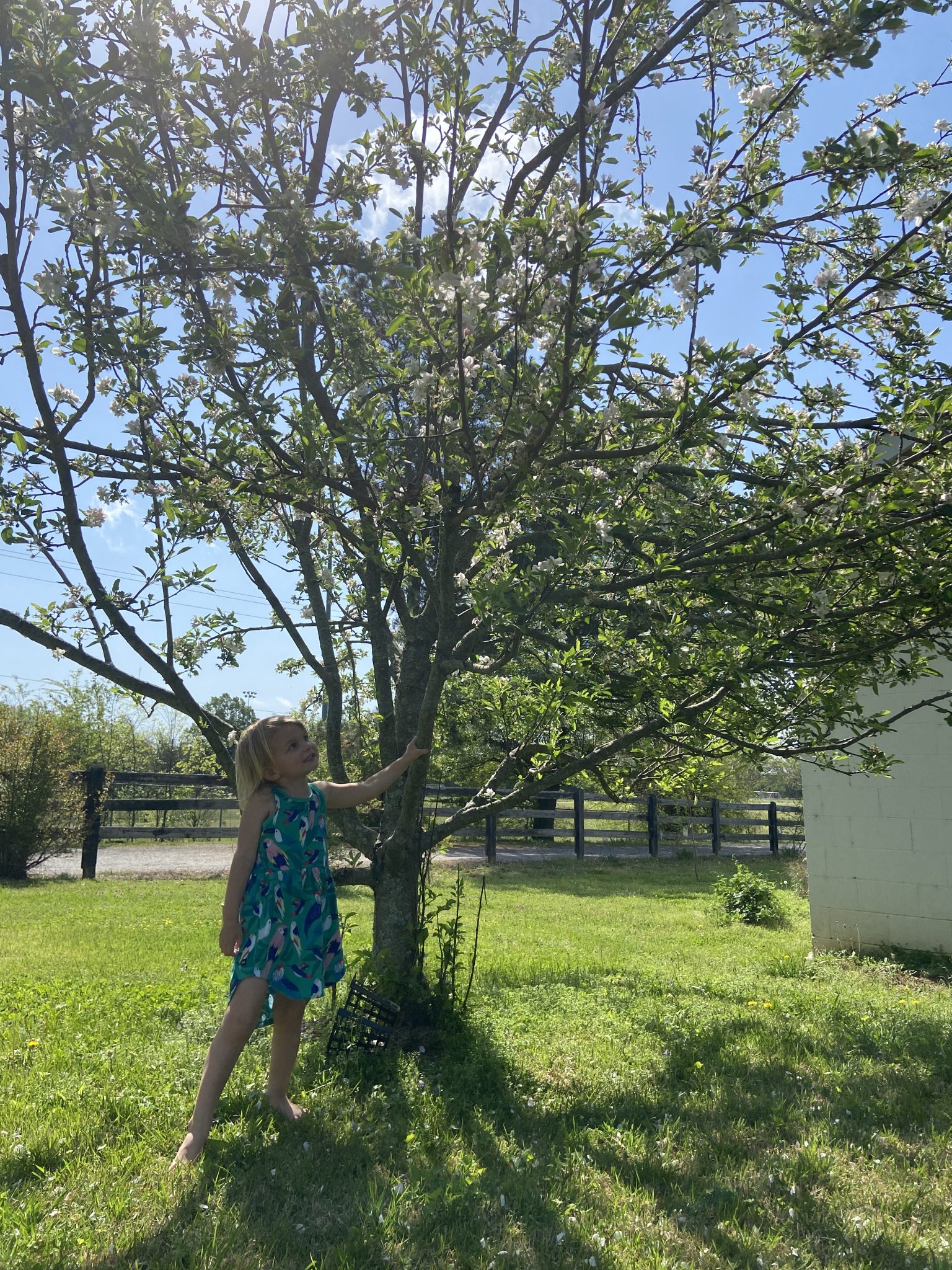 Girl by a tree