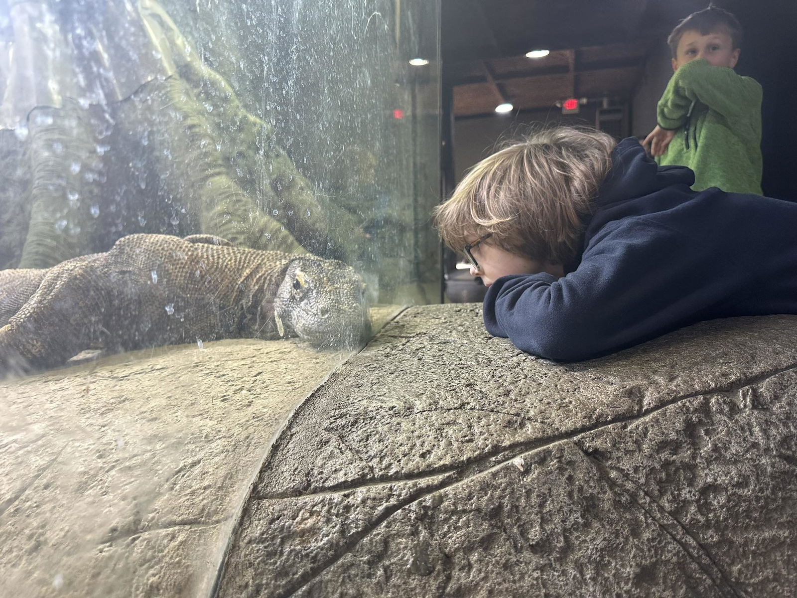 boy at the zoo