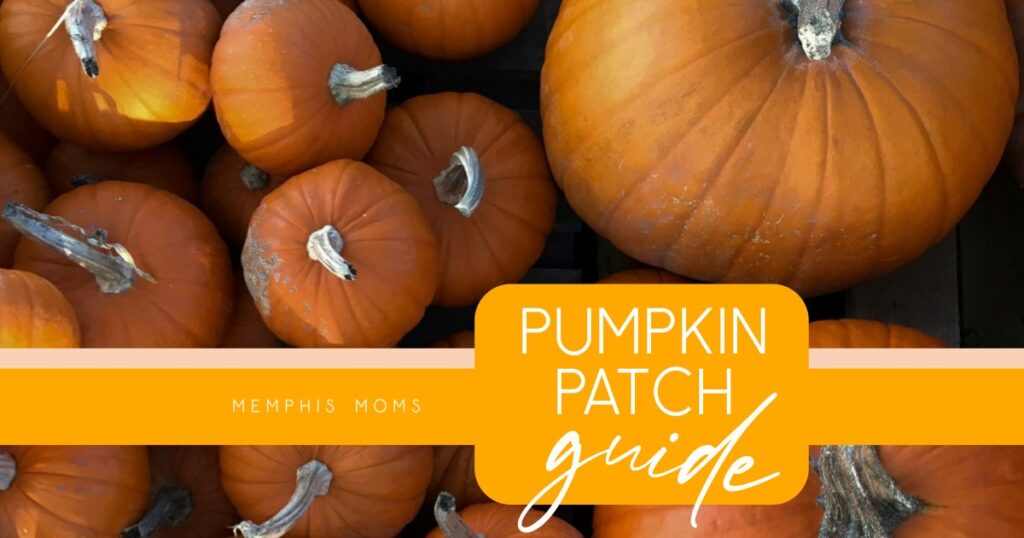 pumpkin patch guide featured image